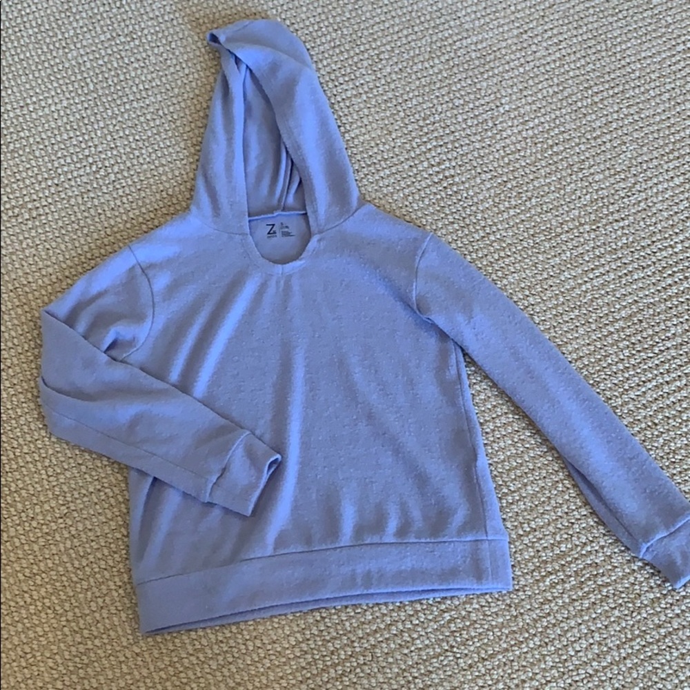 Cropped cozy periwinkle sweatshirt